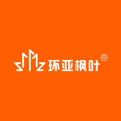 环亚枫叶艺术教育