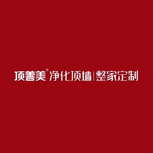 顶善美净化顶墙