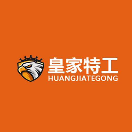 皇家特工家政