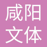 大西安（咸阳）文体功能区发展集团有限公司