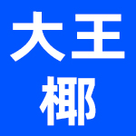 杭州大王椰控股集团有限公司