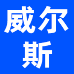 佛山威尔斯陶瓷装饰有限公司