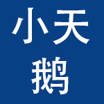 重庆小天鹅投资控股（集团）有限公司