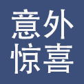 广元市意外惊喜服装有限公司