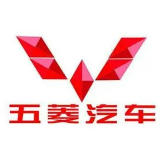 广西汽车集团有限公司