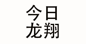 北京今日龙翔国际控股集团有限公司