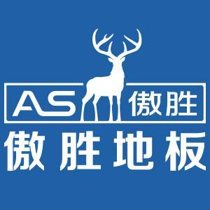 上海傲胜科创实业有限公司