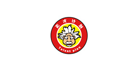 天才计划