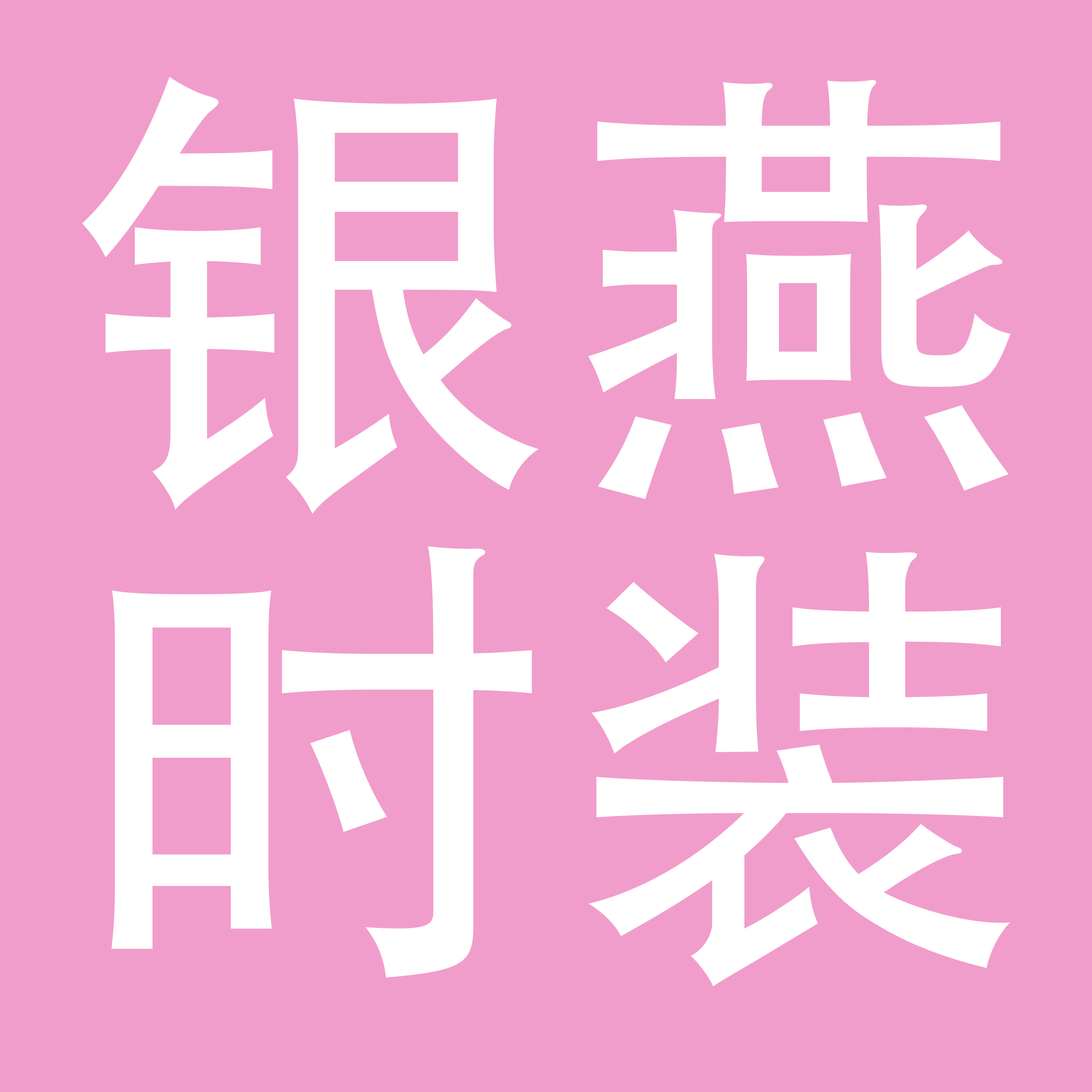深圳市银燕时装有限公司