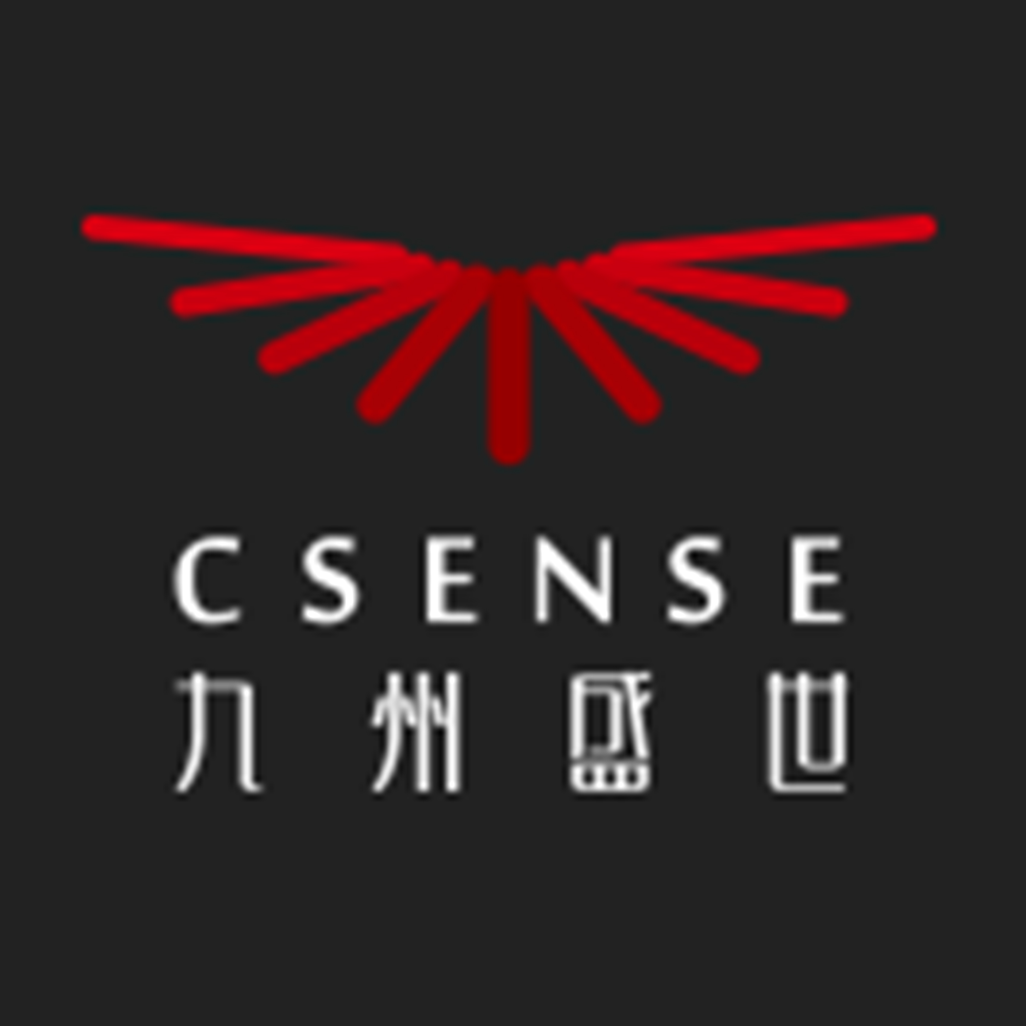 南京九州盛世餐饮管理有限公司
