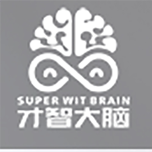 武汉才智公塾教育科技有限公司