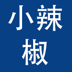 深圳小辣椒科技有限责任公司