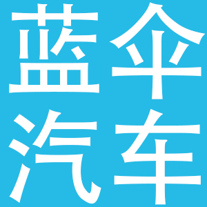 山东蓝伞国际科技开发有限公司
