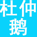 许昌杜仲鹅餐饮服务有限公司