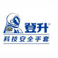 山东登升安防科技有限公司