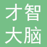 武汉才智大脑教育科技有限公司