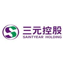 三元控股集团有限公司