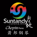 深圳市新天地文化艺术有限公司