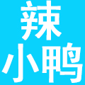 辣小鸭食品有限公司