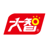 山东大智控股集团股份有限公司