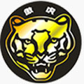 深圳市傲虎电动车有限公司