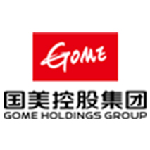 国美控股集团有限公司
