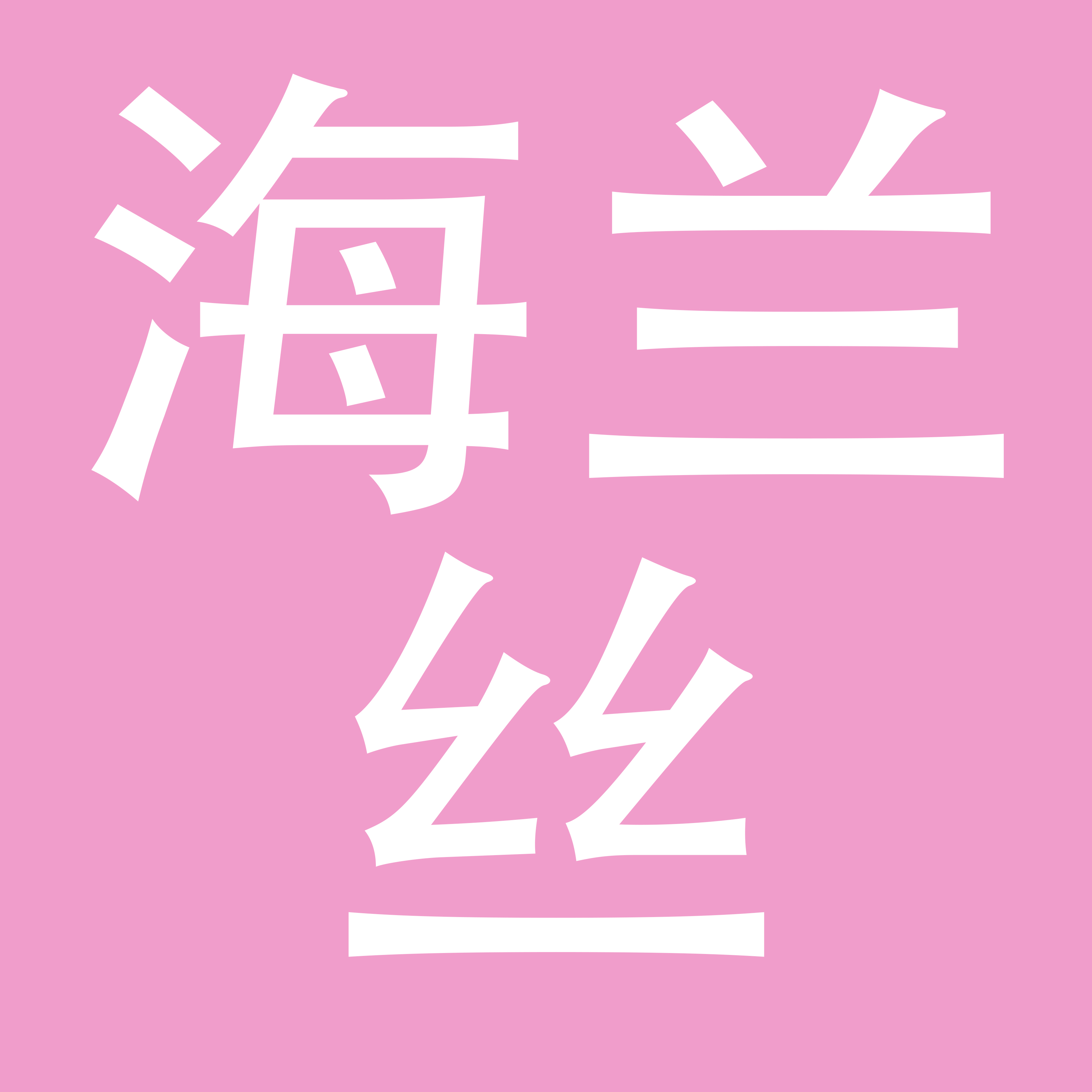北京海兰丝服饰有限公司