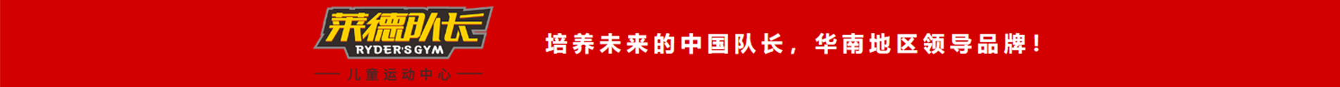 莱德队长