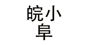 阜阳皖小阜餐饮管理有限公司