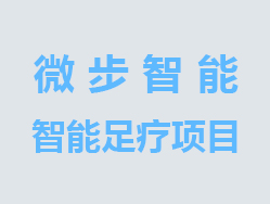 微步智能