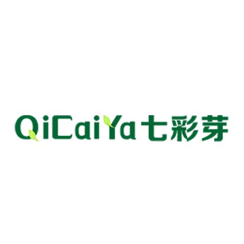 七彩芽童装