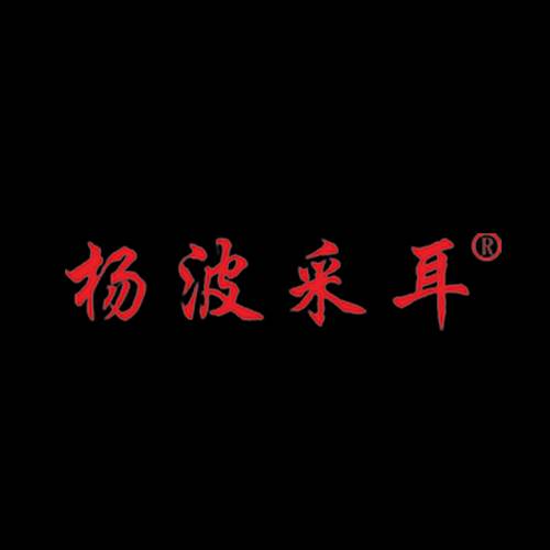 杨波采耳