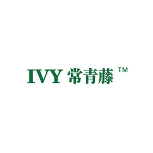 IVY常青藤