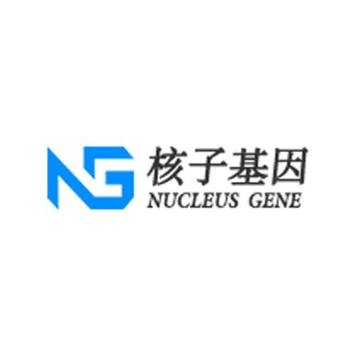 核子基因