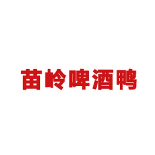 苗岭啤酒鸭