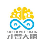 才智大脑